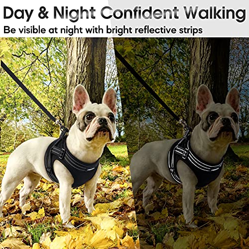 rabbitgoo Small Dog Harness, Soft Mesh Dog Harness with 4 Adjustable Straps, No Pull Dog Vest Harness with Double Clips… - Image 7