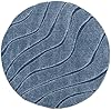 SAFAVIEH Florida Shag Collection Area Rug - 5' Rou... #1