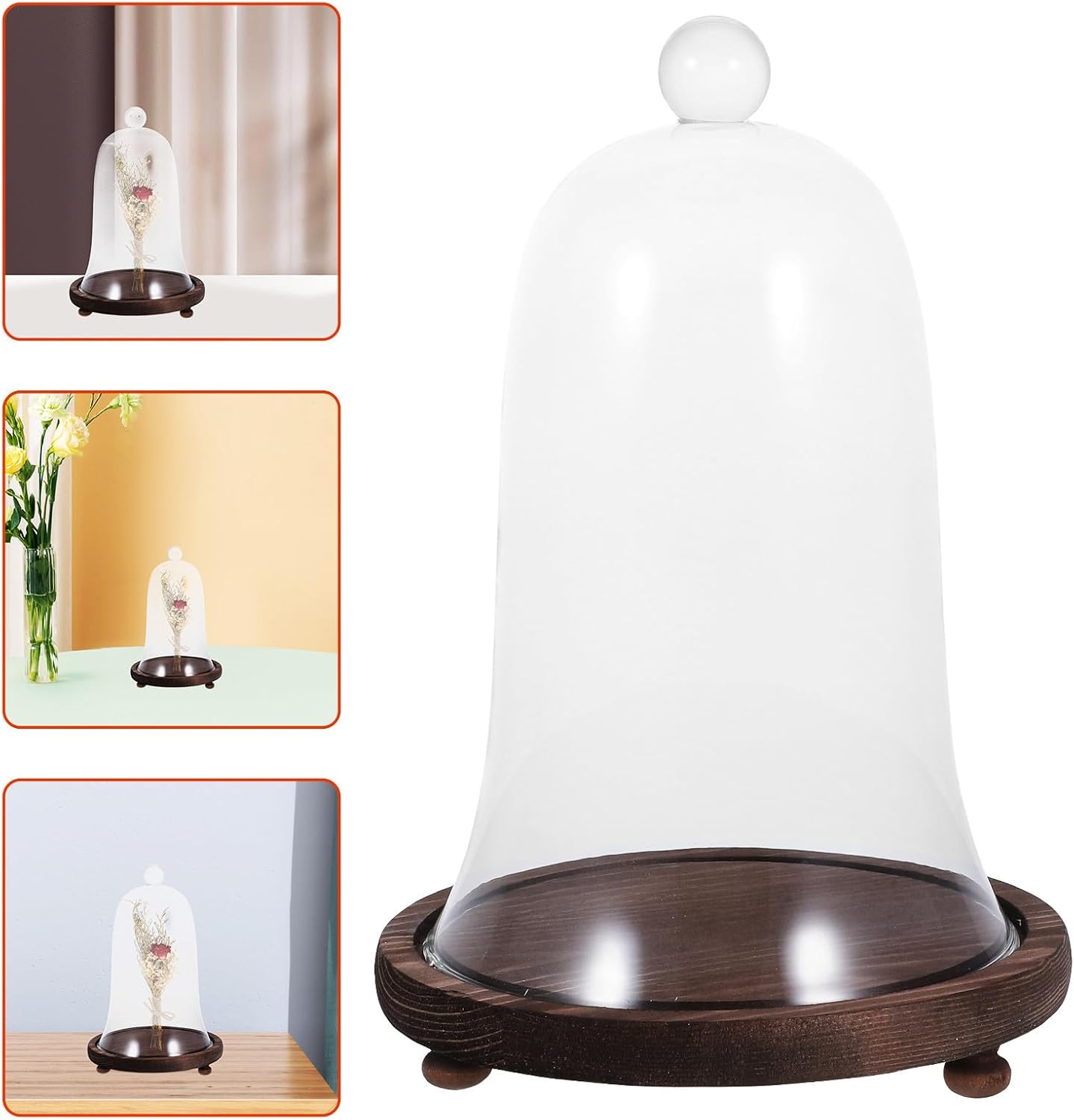 Creative Glass Dome Cover with Wooden Base for Display