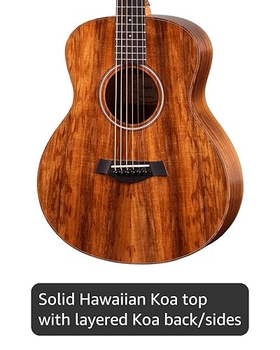 Amazon.com: Taylor GS Mini-e Solid Koa Top ESB w/Gig Bag with case