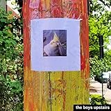 Resigned Arts Collective