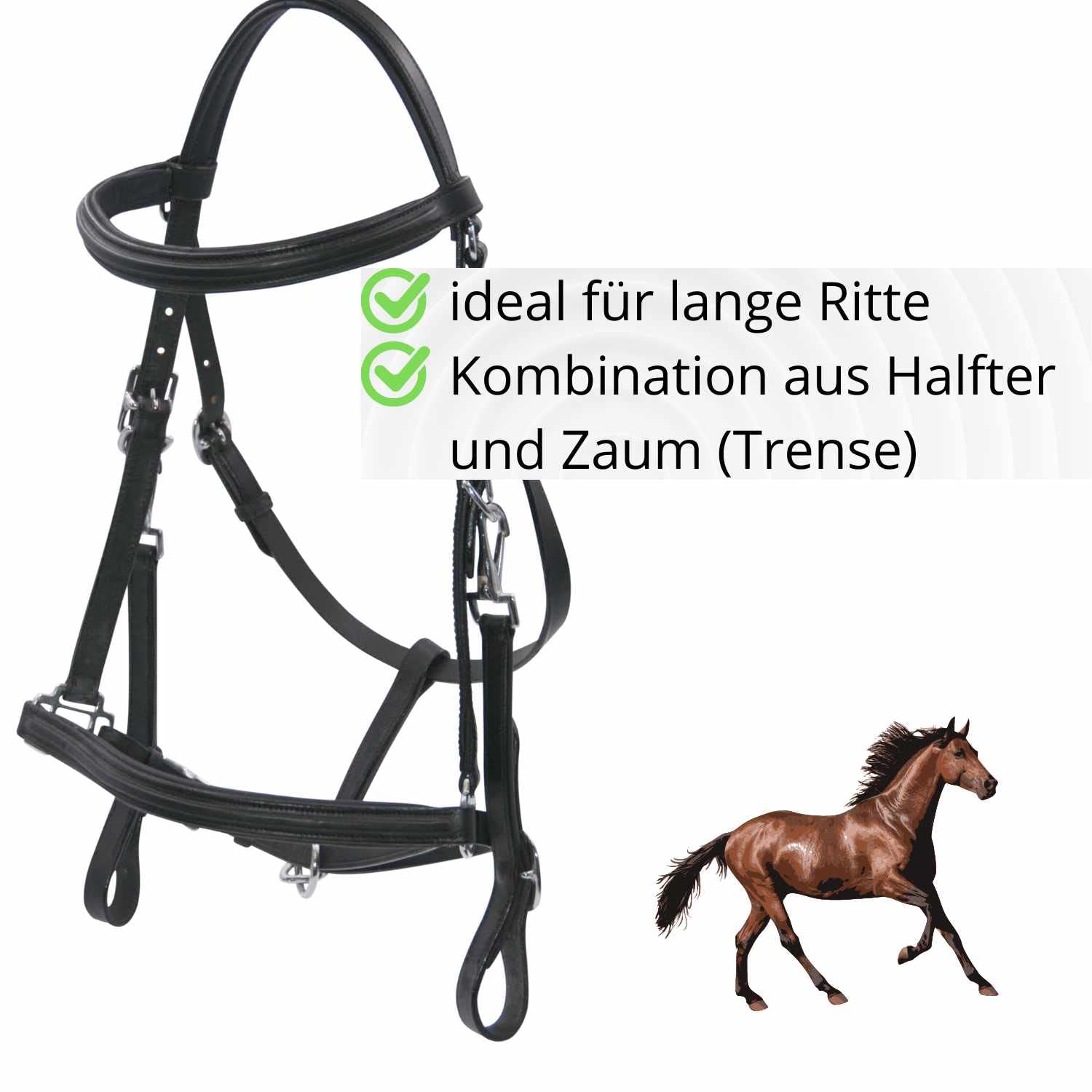 AMKA Zaum-Halfter Kombination schwarz mit Gurtzügel