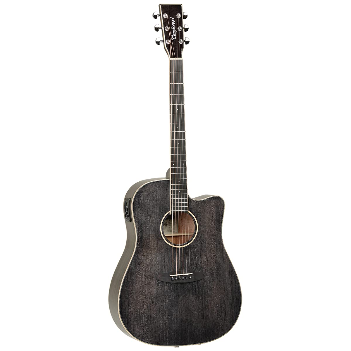 Tanglewood TW5 E BS Winterleaf - Gitara elektryczna