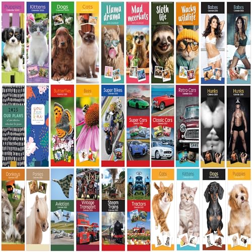 2025 Slim line Calendar New Year One Month View Home Wall Calendar & Pocket Diary (Random Design)