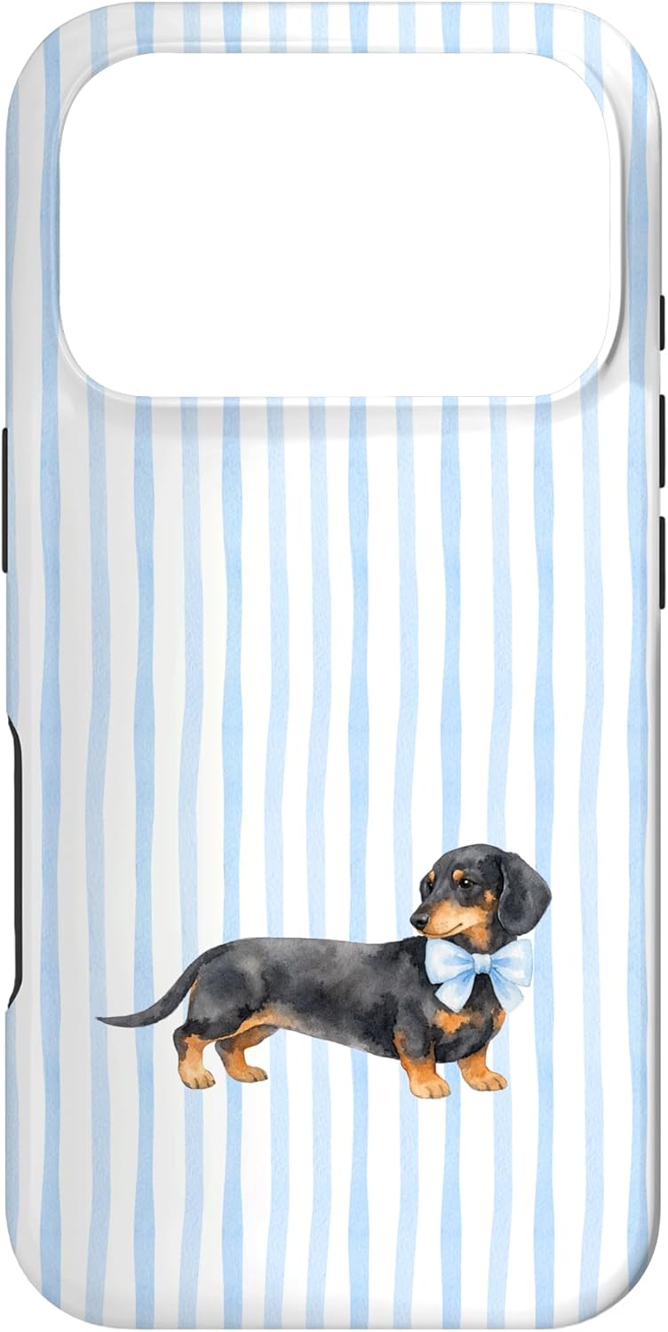 Watercolor Dachshund Blue Bow Minimal Stripe Art Case for iPhone 17 Pro
