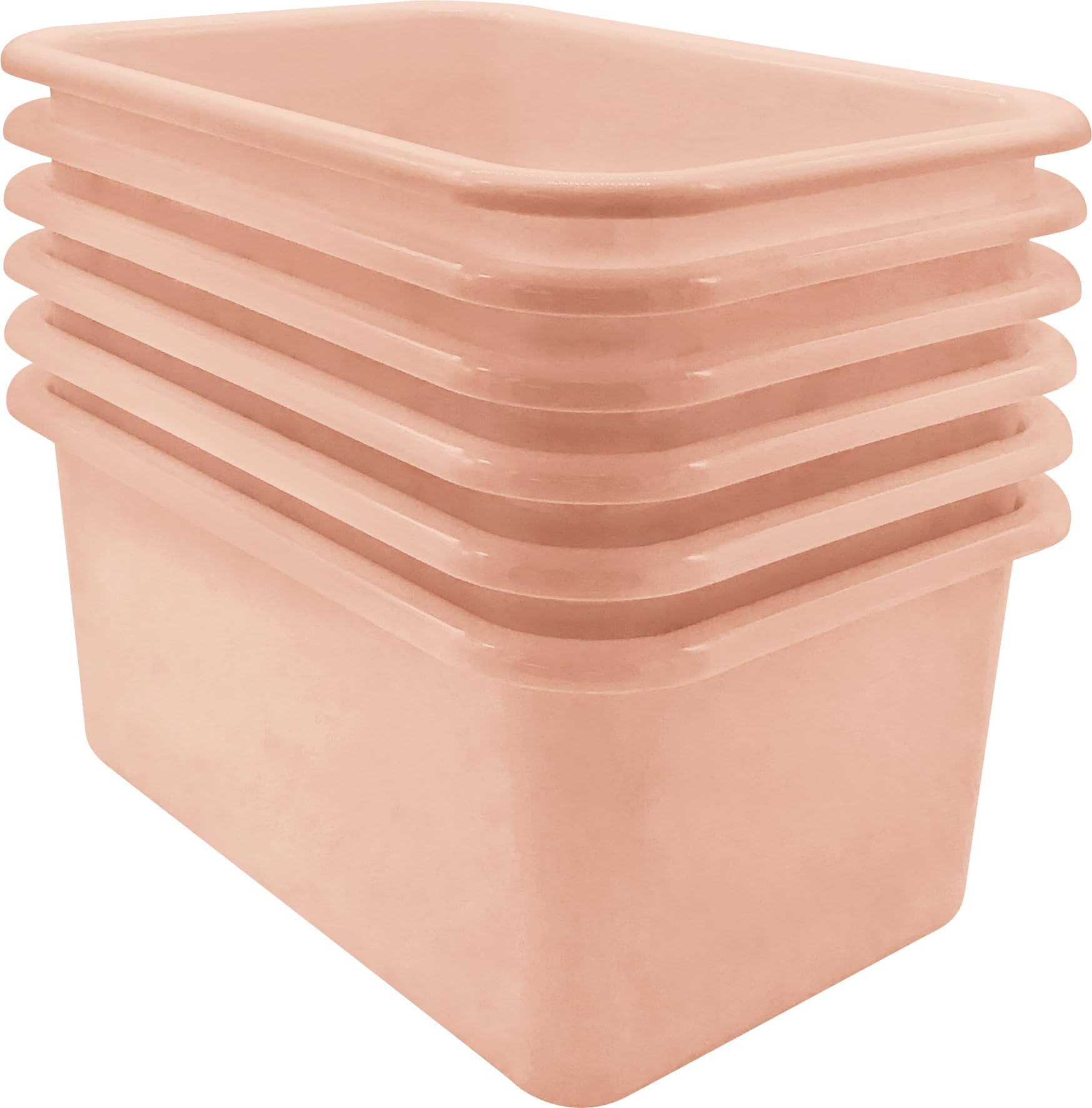 Teacher Created Resources Blush TCR2088584 Lot de 6 petites boîtes de rangement en plastique