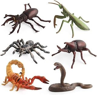 Odowalker 6pcs Lifelike Assorted Insects Model Bug Figures Plastic Insects for Children Education Insect Themed Party