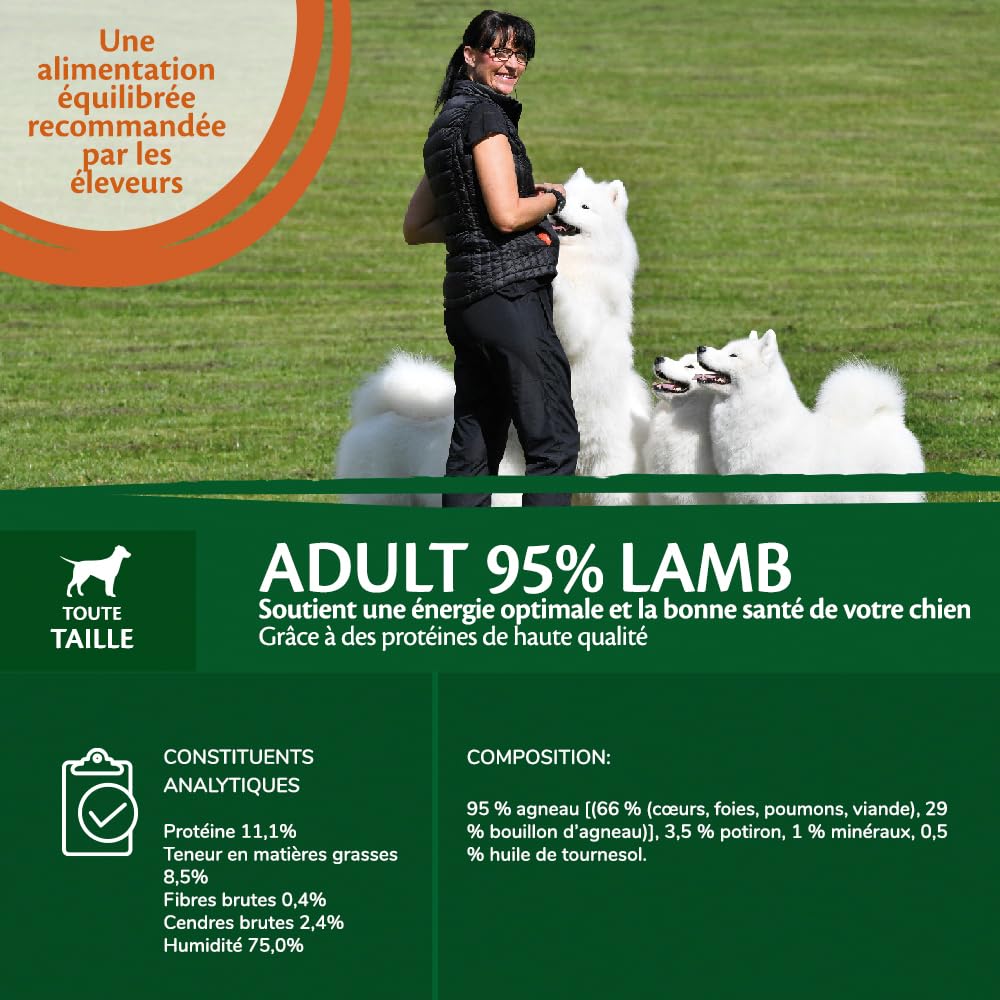 Wellness CORE 95% 6 x 400g, Agneau/Potiron – Pâtée pour Chiens Adultes, sans Céréales, Naturelles, Hypoallergénique, Riche en protéines, À Haute Teneur en Viande,