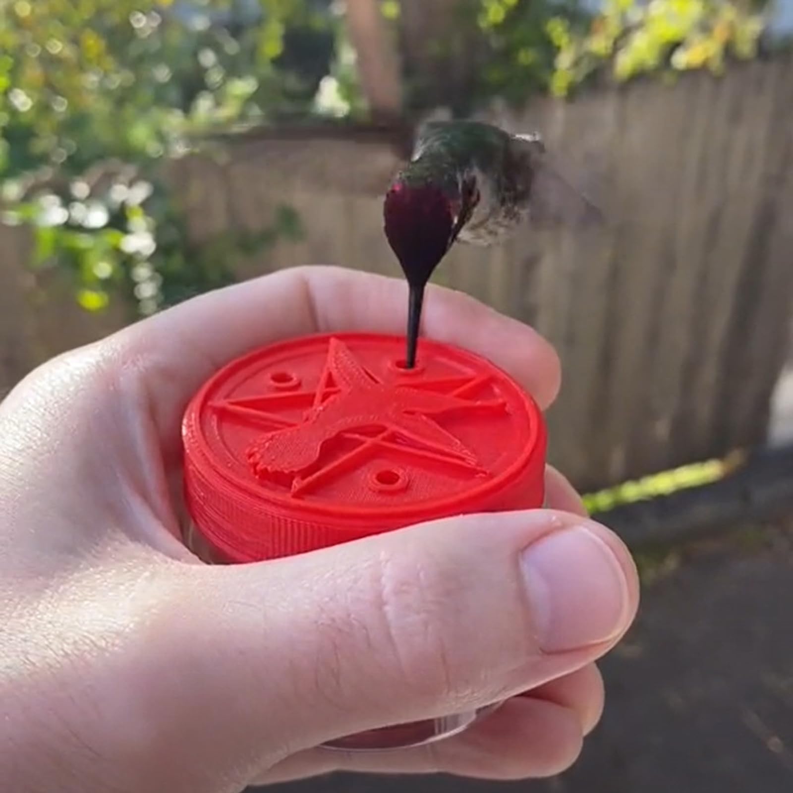 8x Hand-Kolibri-Futterspender – Bunte Blumenform, Mit Sitzstange, Für Fenster & Garten