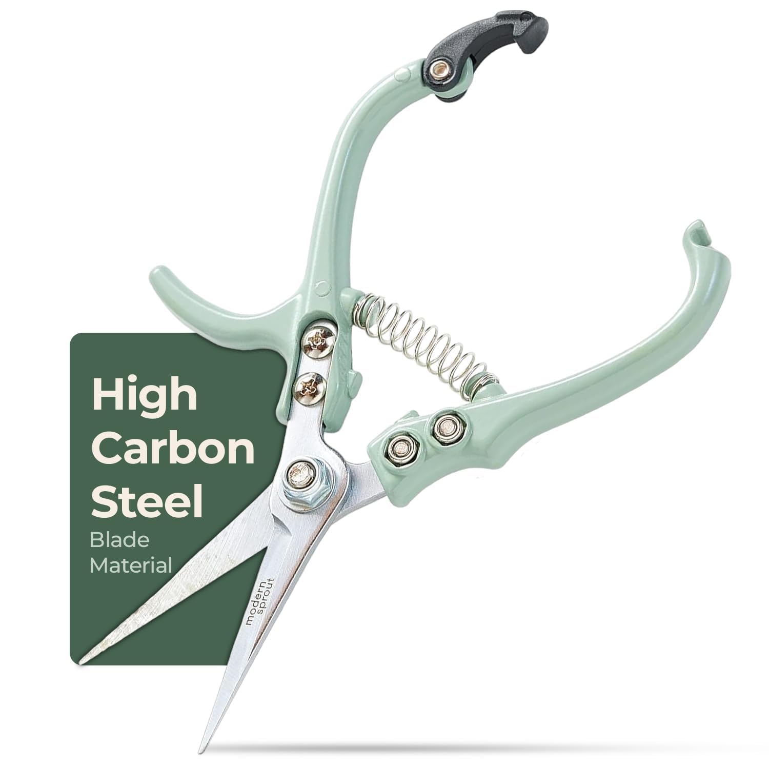 Modern Sprout Pruning Shears