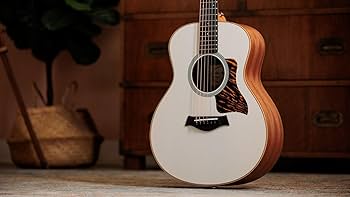 Amazon.com: Taylor GS Mini-e Special Edition Acoustic