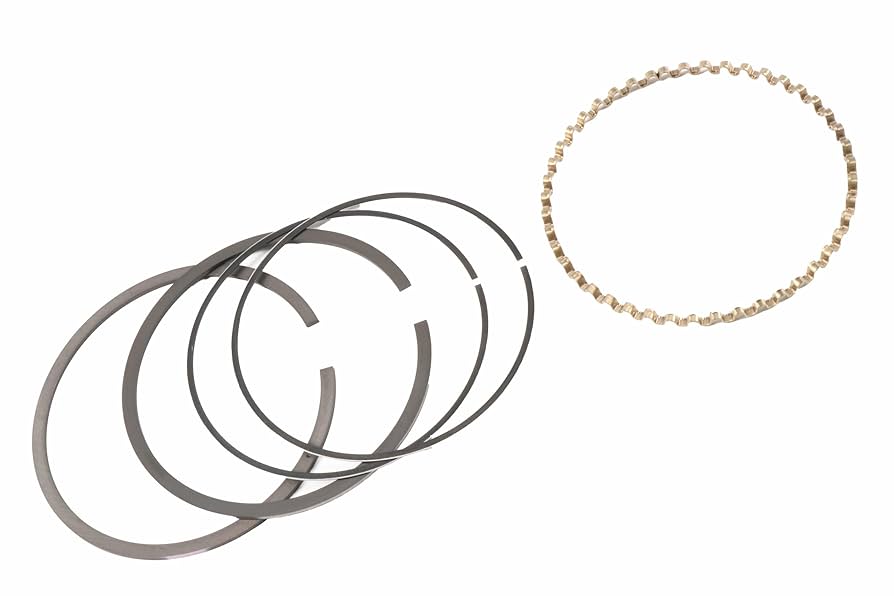 Amazon.com: GM Genuine Parts 88894219 Piston Ring : Automotive