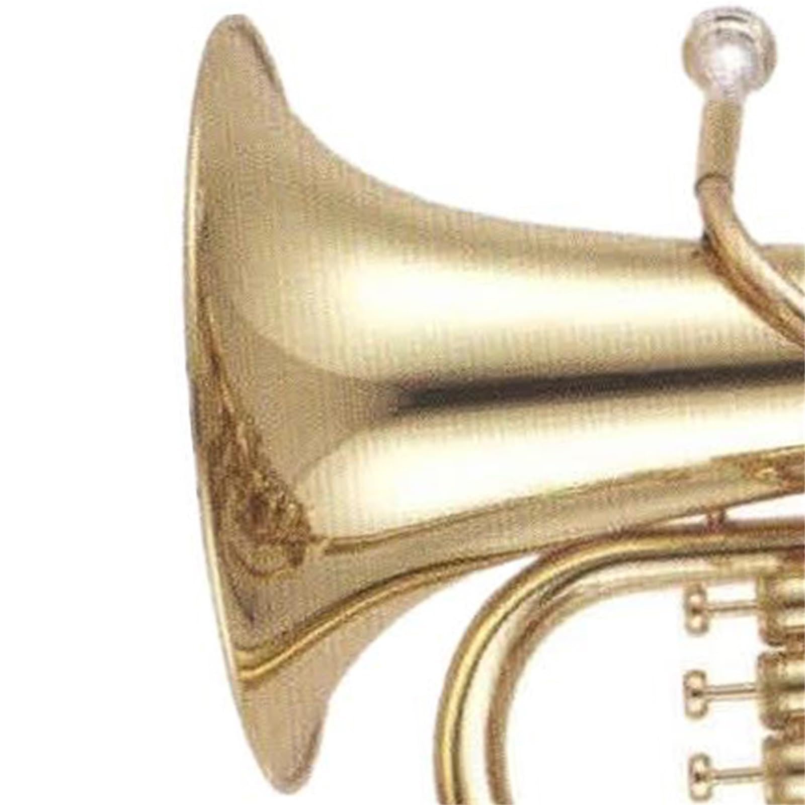 Eufonium 4 Piston B Flat Profesjonalne Złote Lakierowane Eufonium Do Występów Muzycznych Dla Dorosłych