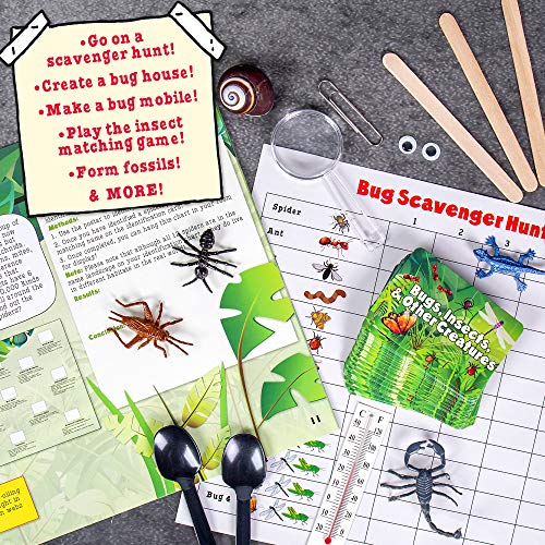 The Magic School Bus Exploring Bugs, Insects & Creatures, at-Home STEM Kits for Kids Age 5 and Up, Insect Kits for Young Scientists, DIY Bug House, Insect Games by The Young Scientists Club - Used condition - Image 4