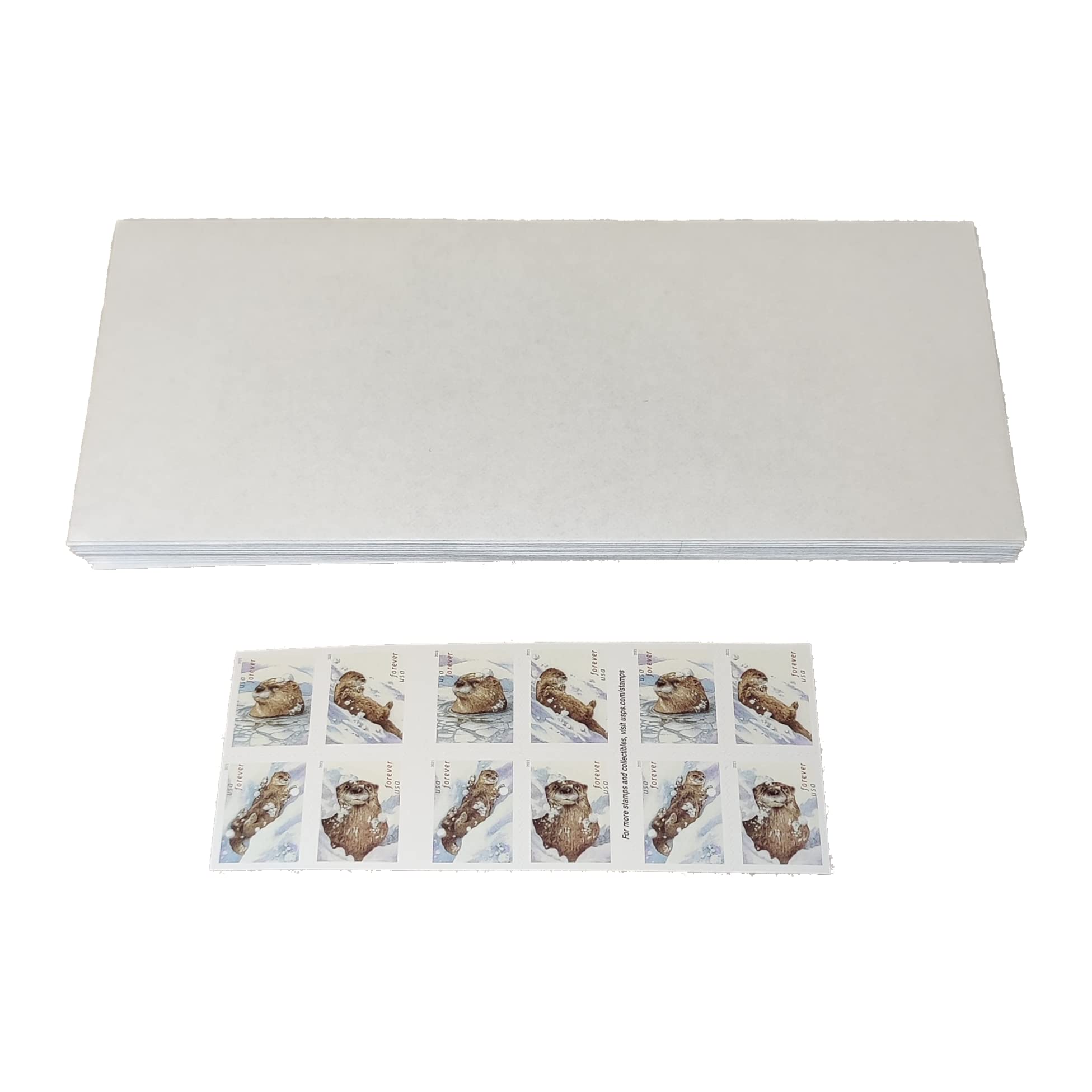 Otters in Snow First Class Postage Stamps with 20 Self-Seal Envelopes, White