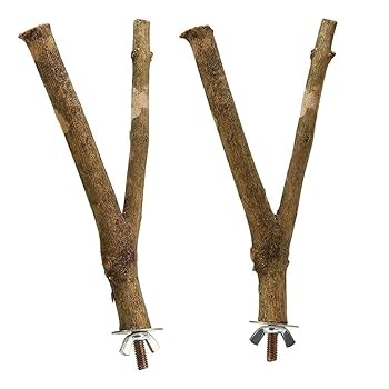 鳥と木の枝 Amazon | 鳥 止まり木 パーチ オウム 枝 自然木 簡単にケージに