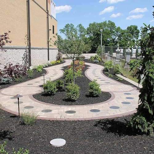 Backyard Transformation Secrets by SmithScapes cover art