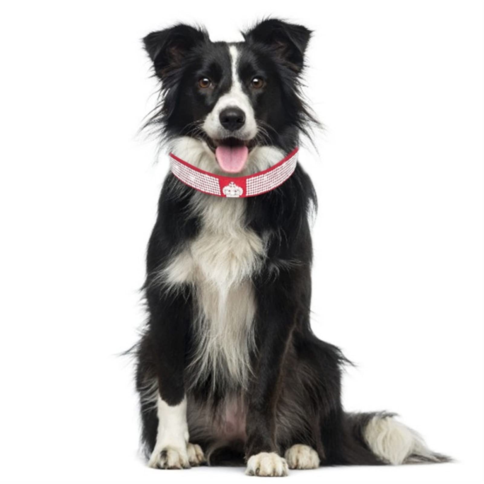 JINGYAN Obroże podstawowe dla psów Kołnierz psa Rhinestone. Pu Skórzany Kryształ Diament Puppy Cat Collar Pet Collars Zwierzęta Dostawy Akcesoria dla psów(Pink,L)