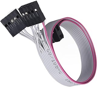 APAAZO Interface Cable 10 Pin LCD12864 TFT24 Touch Screen Display Special Cable SKR MINI E3 V2 Original CR10 12864LCD 3D Printer Parts (Size : 2PCS)