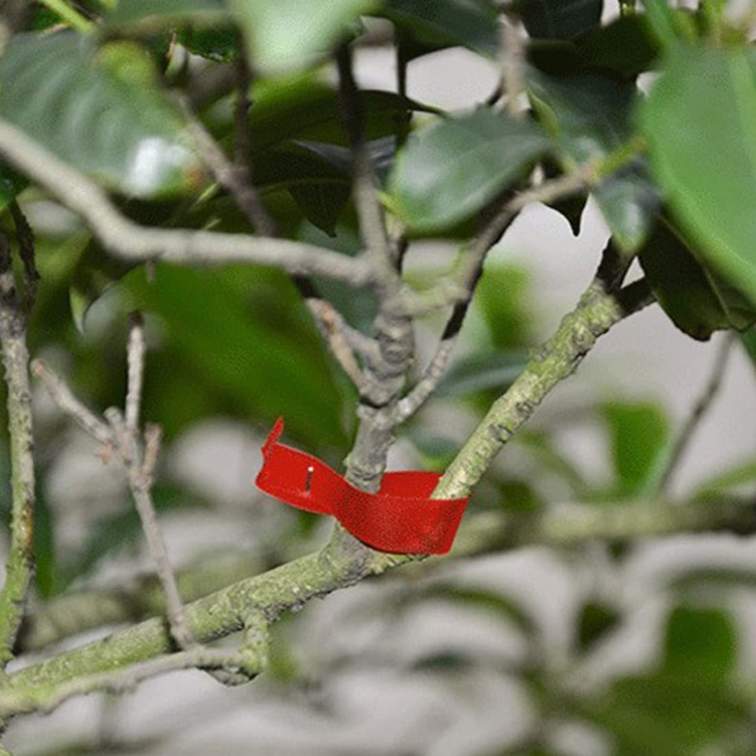 Cintas para máquinas de atar plantas Cintas para herramientas de jardinería Herramienta de embalaje de jardín para podar tallos de vegetales Azul 20PCS Cinta de reparación de plantas Cinta de injerto