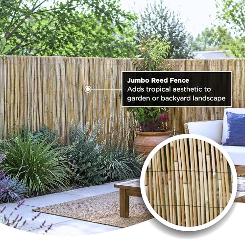 Forever Bamboo Jumbo Reed Natural Bamboo Screen Fencing Privacy Fence Backyard Divider Decorative Reed Garden Fencing 48 in H x 96 in L by FOREVER BAMBOO - Used condition - Image 2
