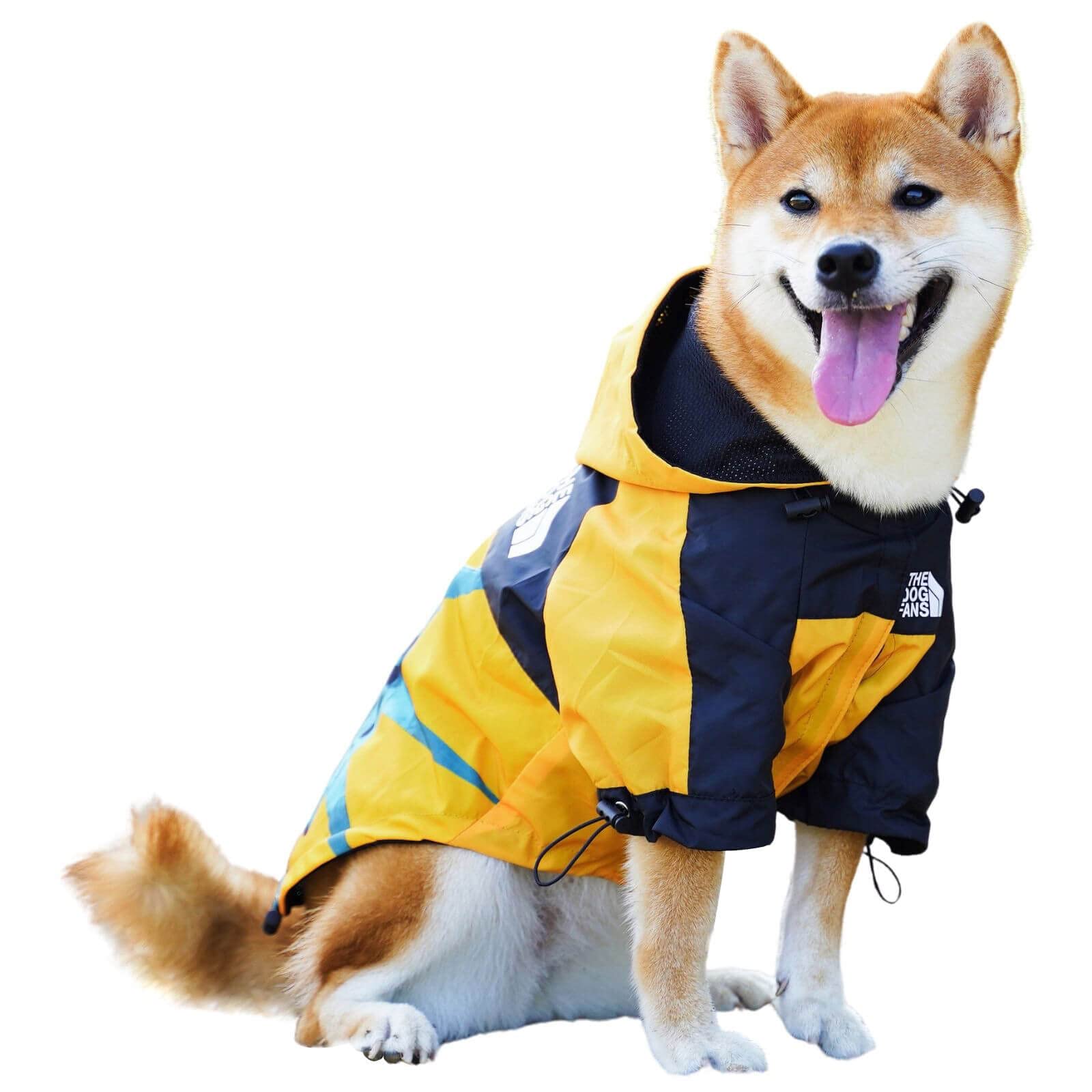 Amazon | REEYAM 犬用 レインコート 雨具 ドッグウェア ワンちゃん 服