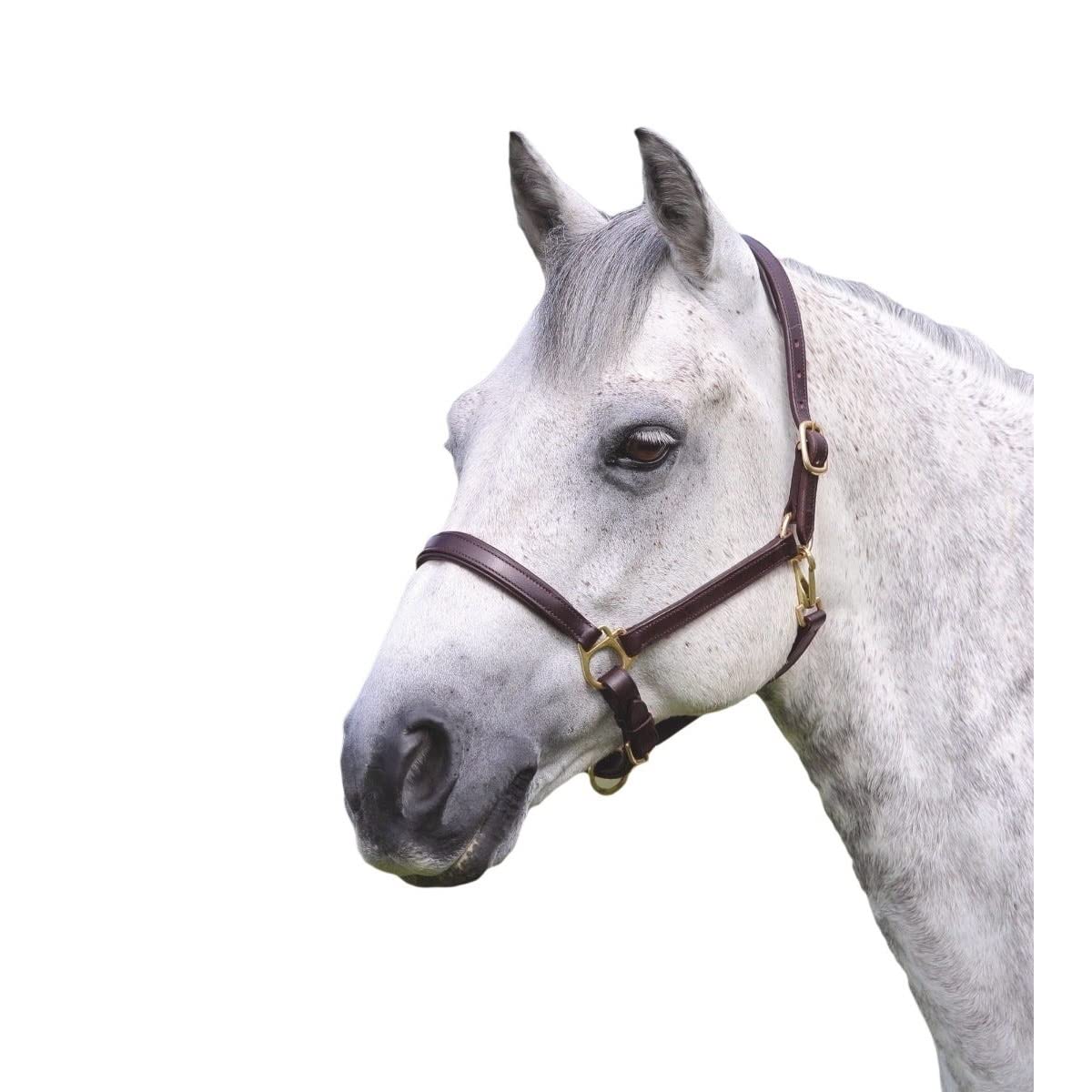 Shires Ragley - Bridas para caballo (piel)