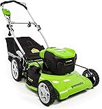 Greenworks 13 Amp 21-Inch Electric Lawn Mower, MO13B00