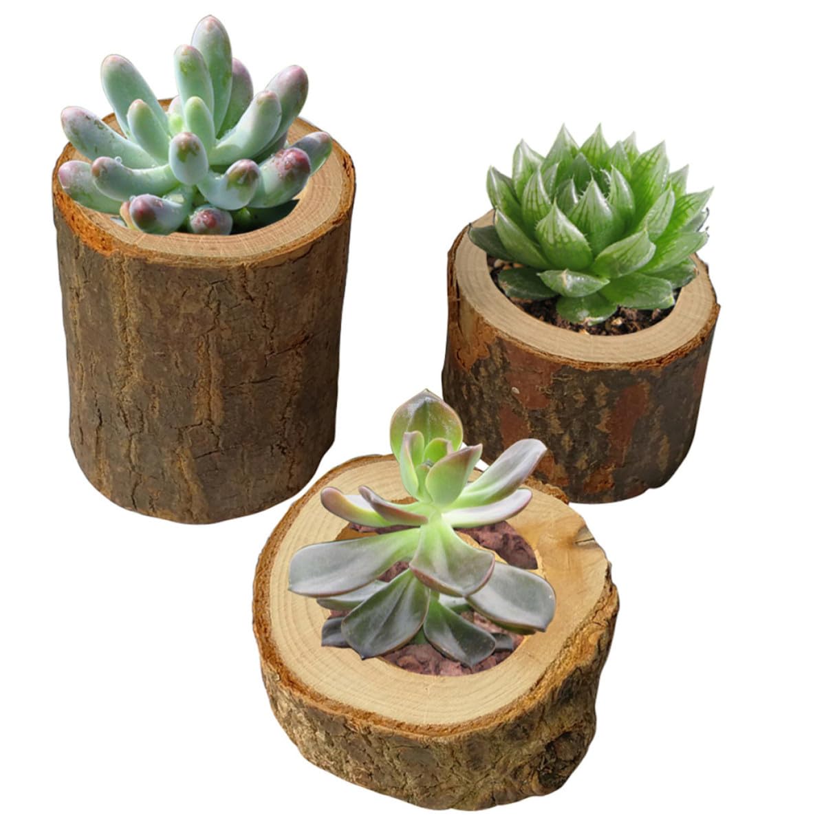 BESPORTBLE 12 Pezzi Portacandele Rustico in Legno a Ceppo per Candele