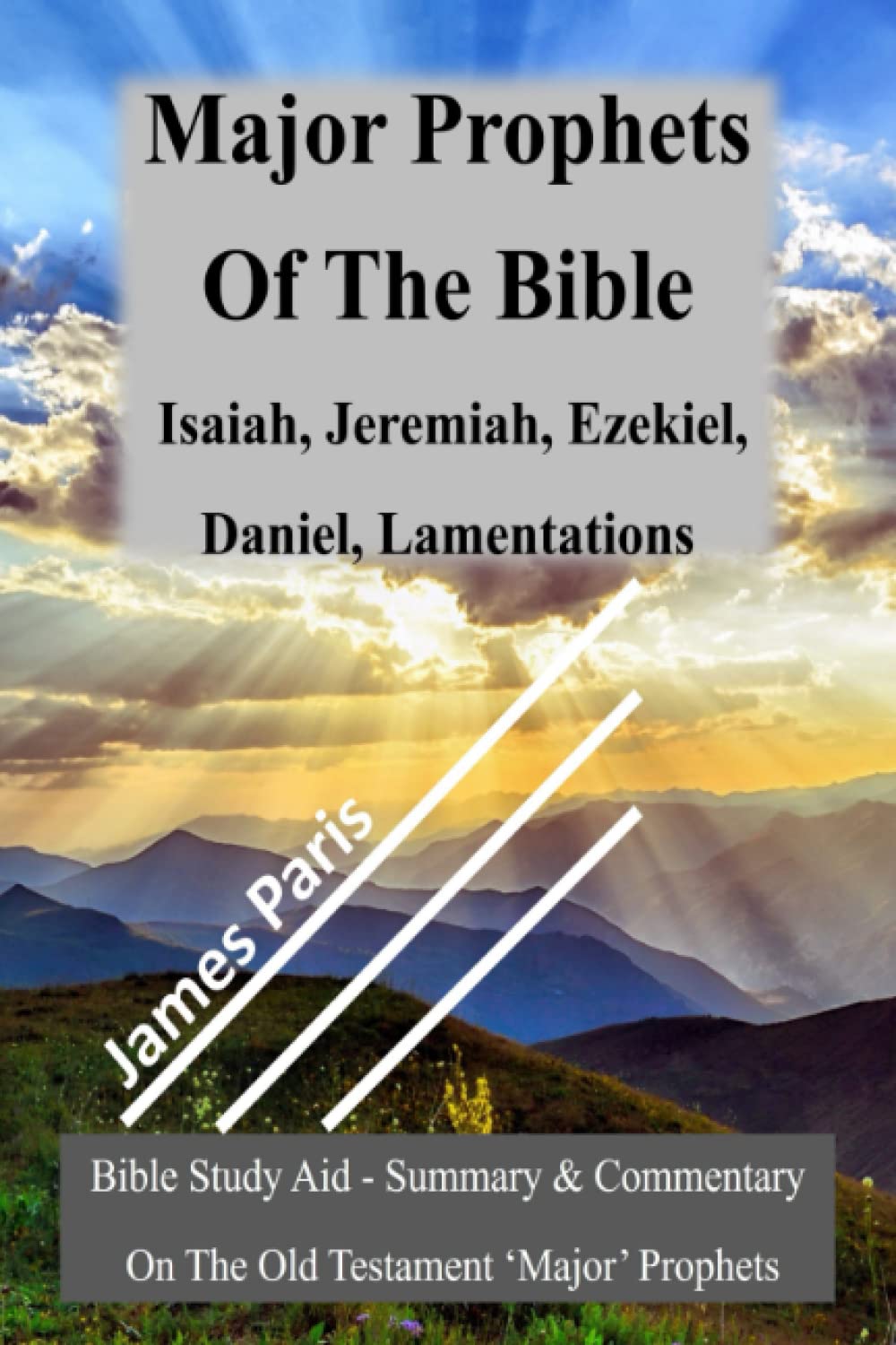 Major Prophets Of The Bible, Isaiah, Jeremiah, Ezekiel, Daniel, Lamentations: Bible Study Aid - Summary & Commentary On The Old Testament ‘Major’ Prophets (Bible Overview Study Guides)