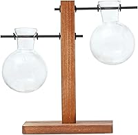 Vista 6 de Jarrón de cristal para maceta, kit de terrario para plantas de escritorio con soporte de madera maciza retro para plantas hidropónicas, hogar
