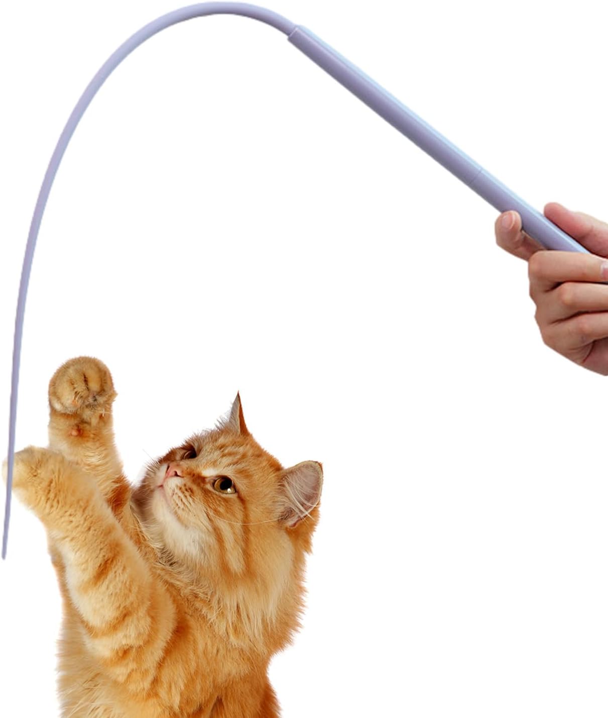 Amazon ネズミの形をした猫の杖 子猫用シリコンマウステールシェイプワンドおもちゃ、ソフト非毒性子猫プレイおもちゃ、動物病院猫カフェ