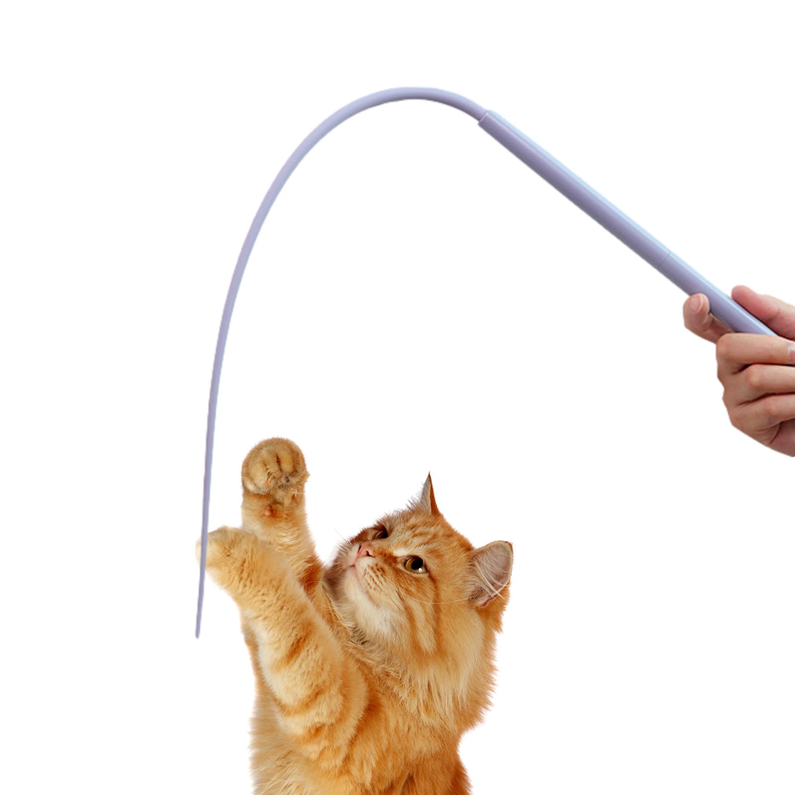 Amazon.co.jp: ネズミの形をした猫の杖 |子猫用シリコンマウステール