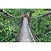 Produktbild GREAT ART® Fototapete  Hängebrücke  Wandbild Dekoration Dschungel Landschaft Natur Adventure Brücke Regenwald Busch Tropen Urwald Holzbrücke Foto-Tapete Wandtapete (210 x 140 cm)