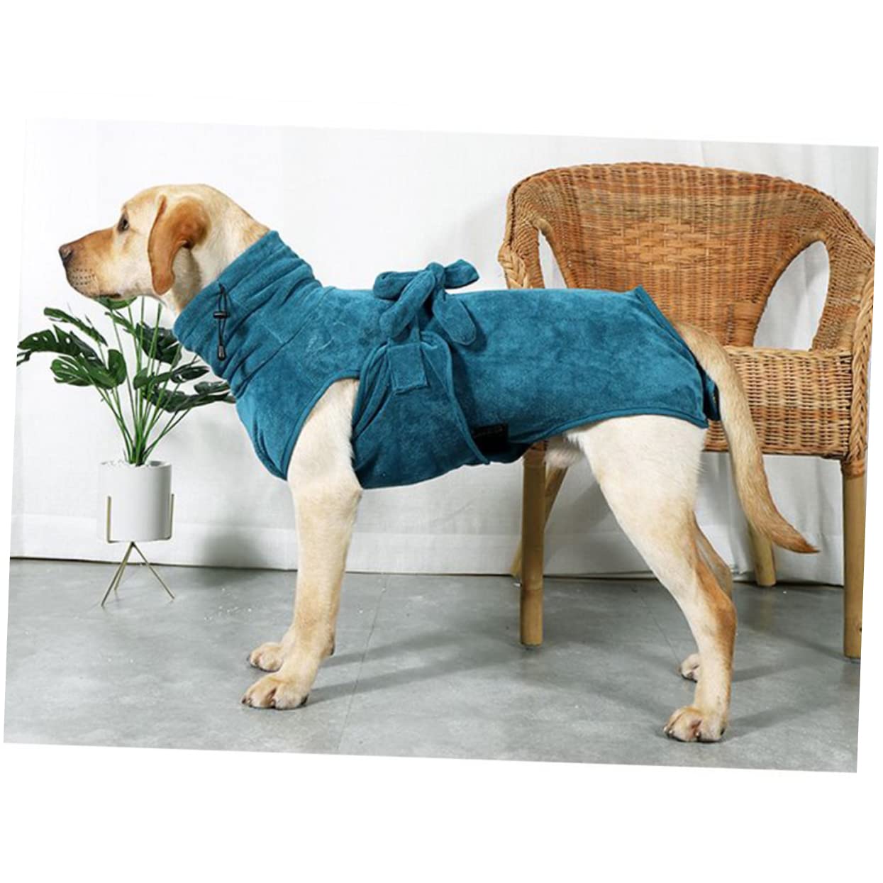 Angoily Accappatoio per Cani ad Asciugatura Rapida con Cintura Regolabile | Colore Verde, Nylon e Poliestere, per Cuccioli e Cani 2-15kg, Autunno e Inverno