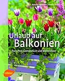 Urlaub auf Balkonien: Zwischen Gemüselust und Blütenmeer