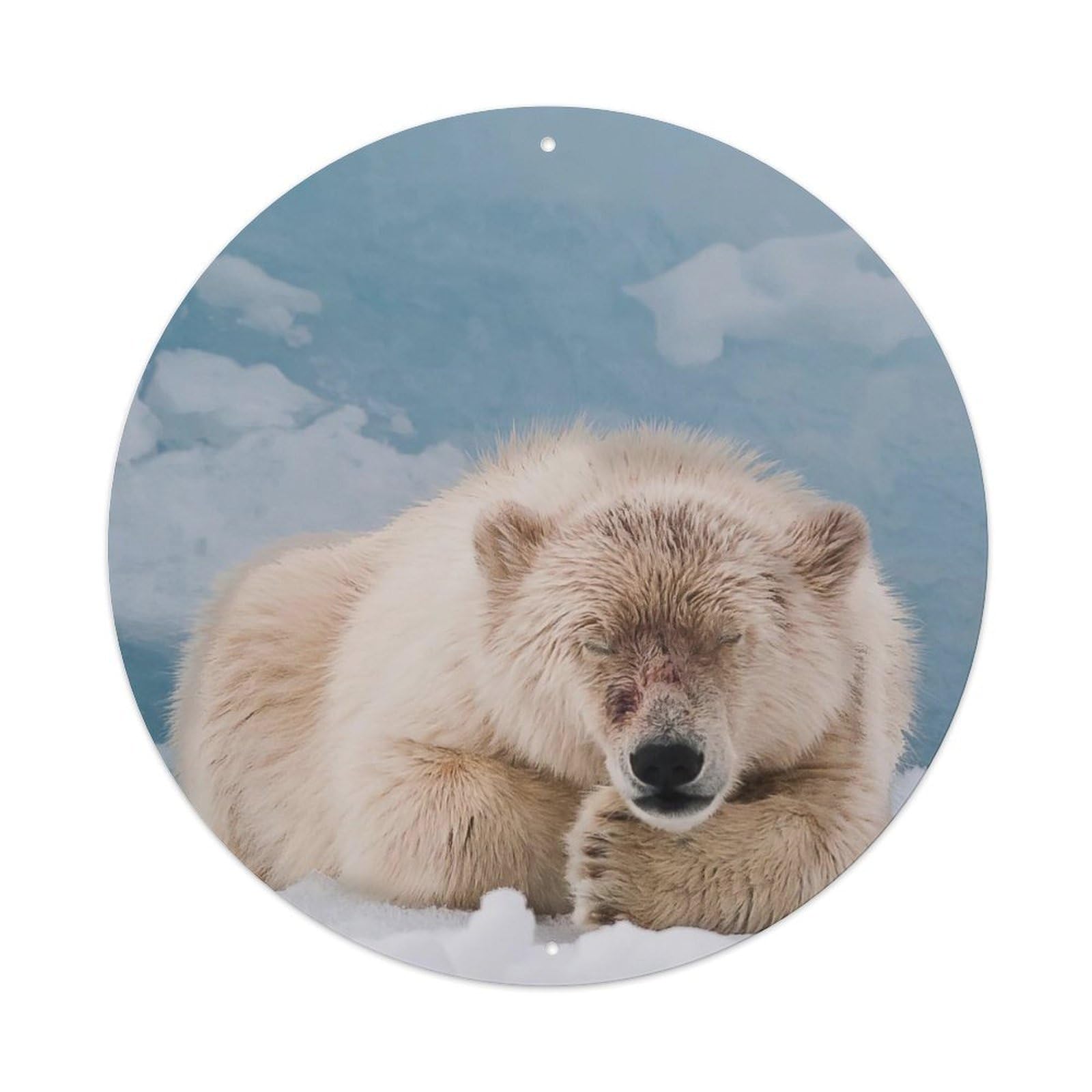 Cwbufd Vintage Style Arctic Wildlife Polar Bear In Snowy Tundra Vintage Metal Tin Sign Plaque Wall Decor For Cafe, Club Bar, Office, Garden Metal Poster 8X8inch