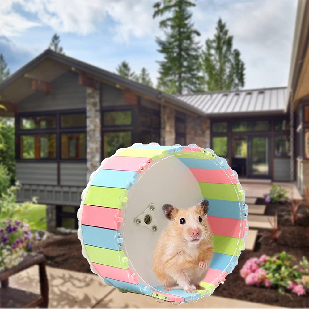 Criceto A Ruota Da Corsa, Ruota Silenziosa Per Criceti, Giocattolo Della Del Criceto, per Criceti e Animali Piccoli Da Esercizi (15cm)