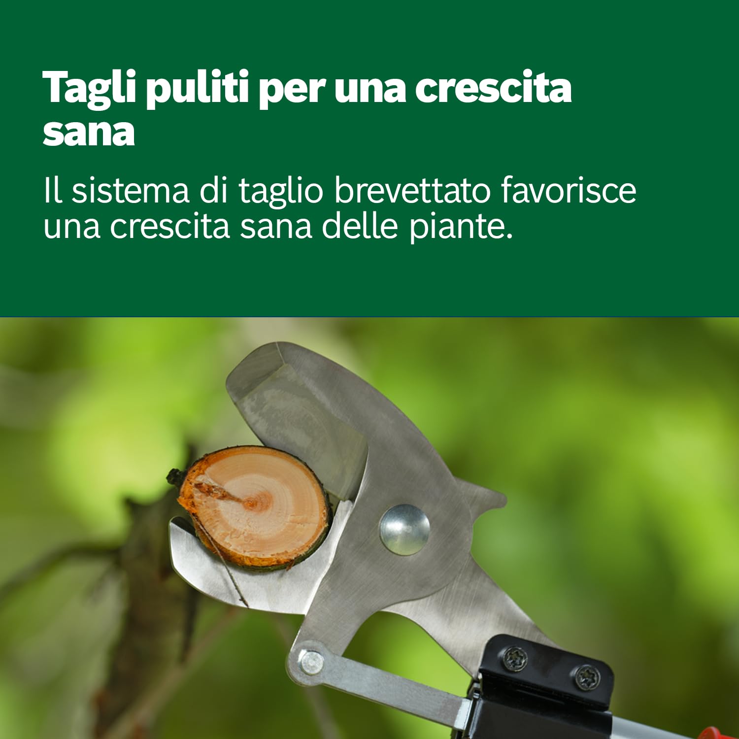 Bosch Forbici Potatura a Batteria Advancedprune 18V-45 45 mm 600 Tagli Asta di Prolunga