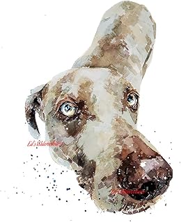 Weimaraner Soulful eyes - Print Watercolour, Weimaraner art, Weimaraner print,Weimaraner décor, Weimaraner Watercolour Print