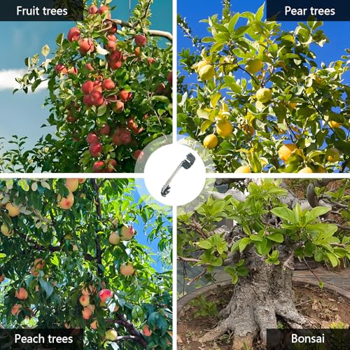 Separadores para ramas de árbol frutal 20 piezas miniatura 3