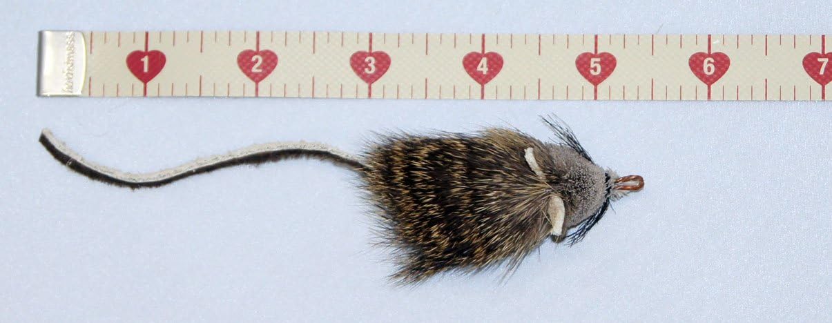 CoolCyberCats Fun Rat Pack 3 Pack of Mice Mouse Refill/Attachment - Fits Wildcat and Popular Bird and Catcher Type Wands/Poles : Pet Supplies