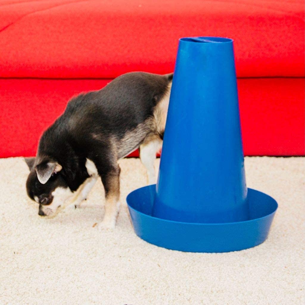 PIPPI Baño para Perros tapete para Perros baño fácil de Limpiar para Interiores WC para Perros para una higiene óptima sin olores ecológico Dog Toilet WC 28x36cm Azul Pack de 3