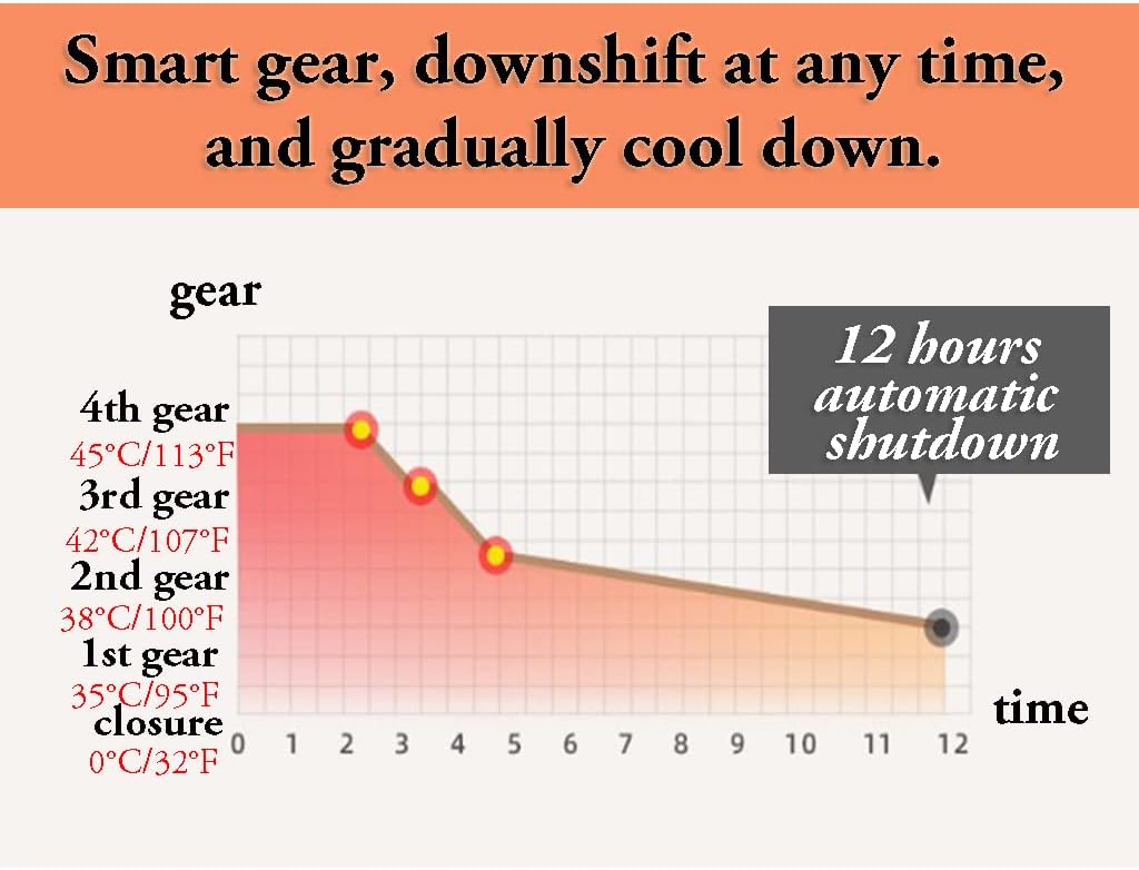 Review ZHULIN Weighted Heated Blanket Double Zone Electric Blanket