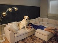 Review Image by Molly Fay