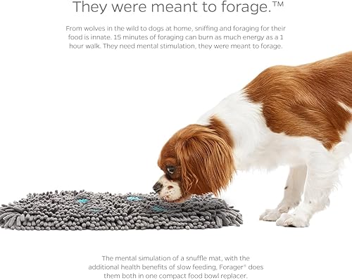 Miniatura 4 de Pet Parents Forager - Tapetes para olfatear para perros con tecnología SoftSnout y respaldo antideslizante, cuencos para perros de alimentación