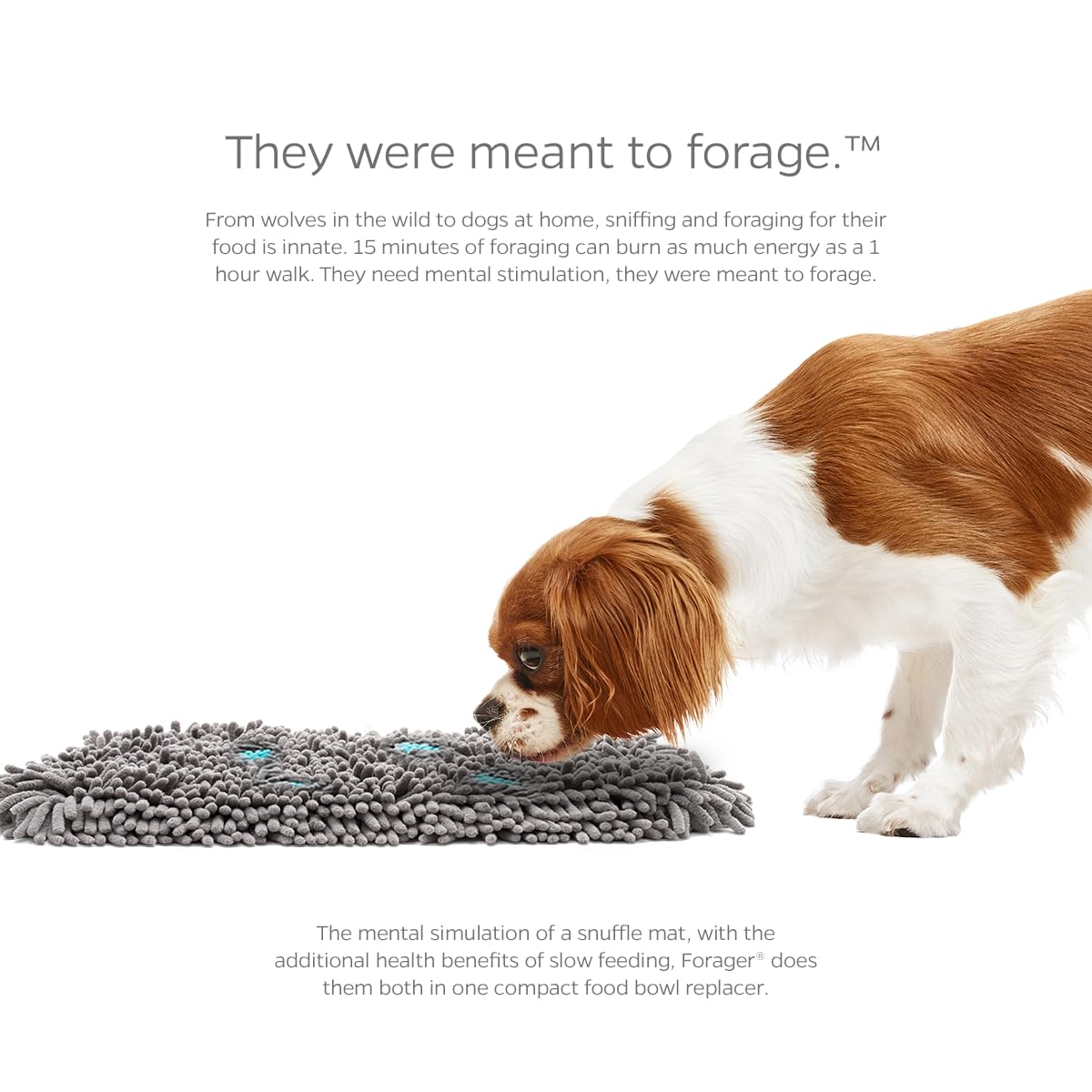 Pet Parents® Forager® Tapis à renifler pour Chiens avec Technologie SoftMuseau et Envers antidérapant, gamelles et Tapis à renifler pour Chiens de Grande Taille et Petits Chiens (Prairie, 30,5 cm)
