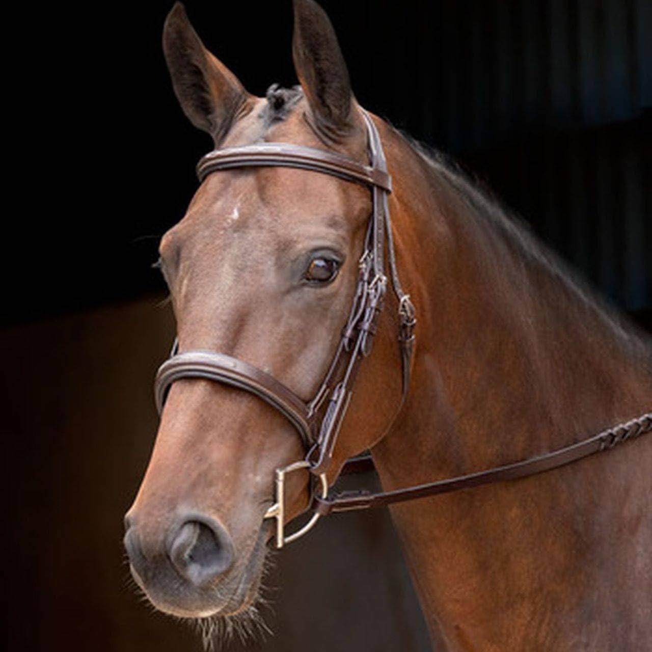 Shires Rossano Florence Bridle Havana Pony