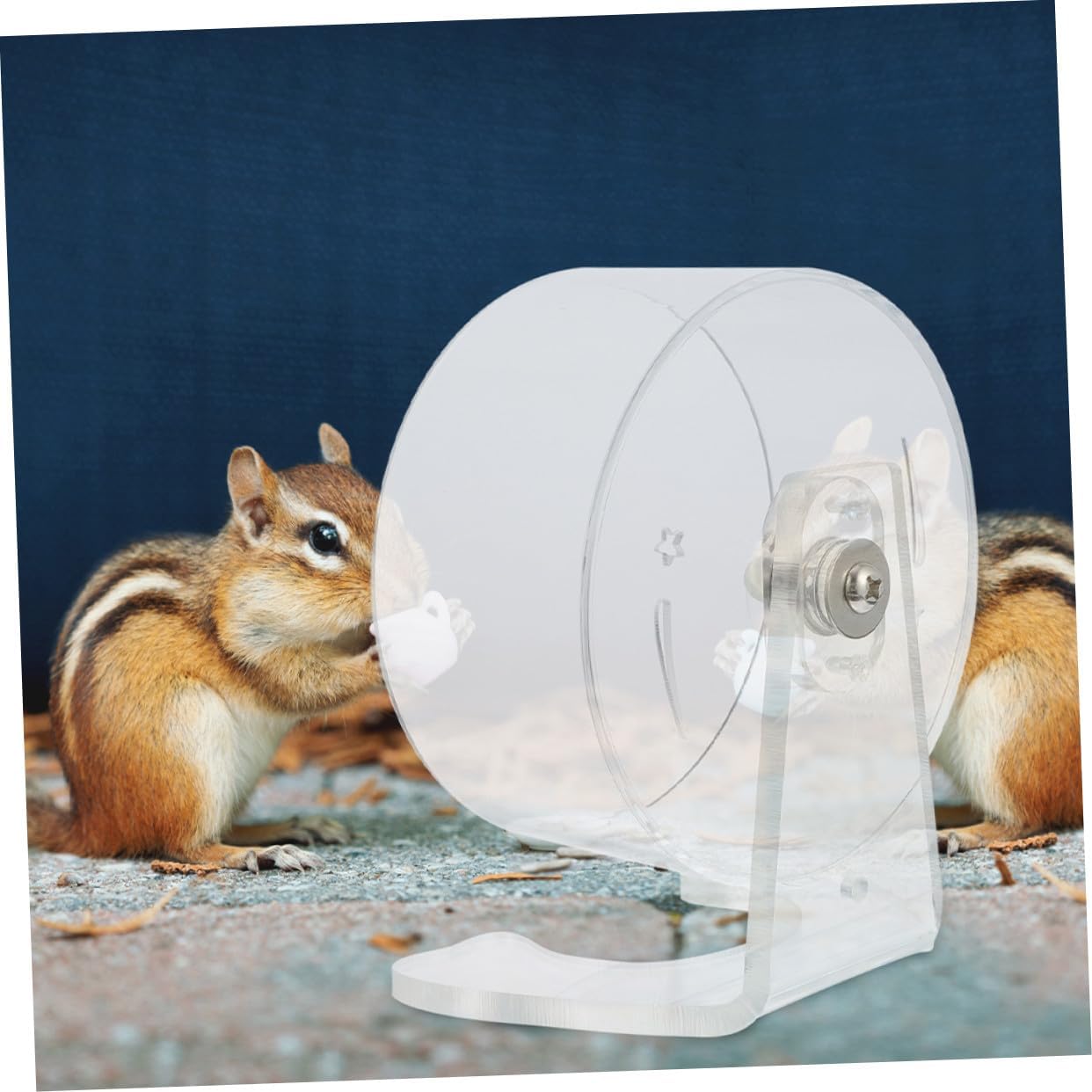 Yardwe Silent Hamster Exercise Wheel with Stand Quiet Running Spinner for Mice Gerbils Small Pets Cage Accessories Easy Install Encourages Active Versatile Fit