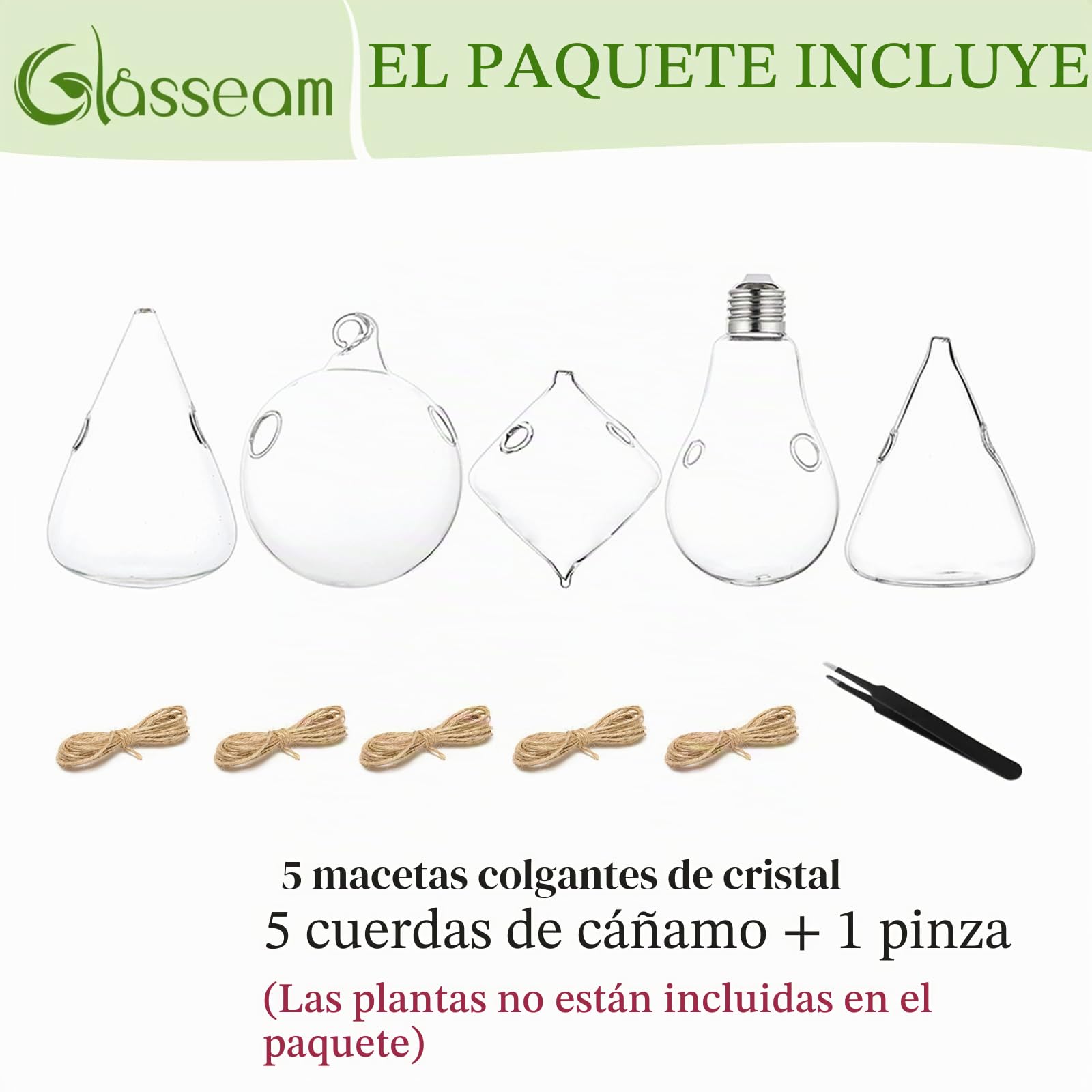 Vidrio Jardineras colgantes Agua Planta de aire suculentos Terrario 5Pcs Set con cuerdas para el jardín del hogar Balcón